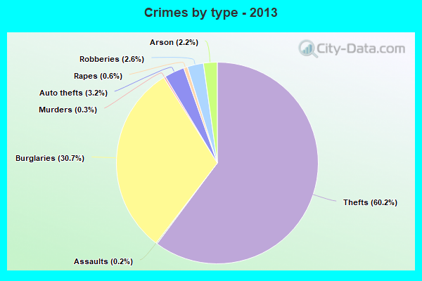 Crimes by type - 2013