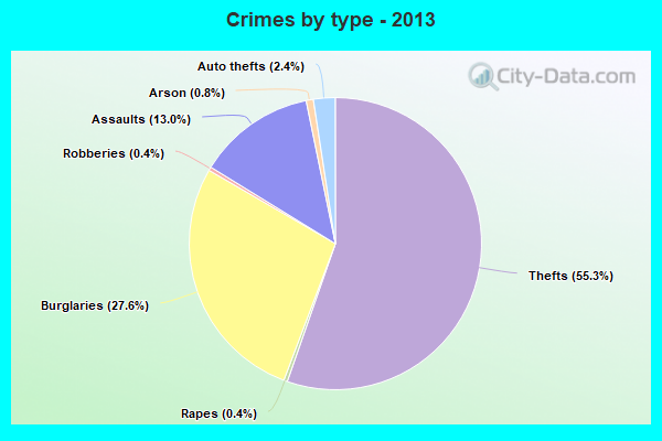 Crimes by type - 2013