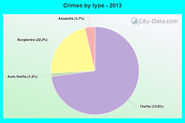 Crimes by type - 2013