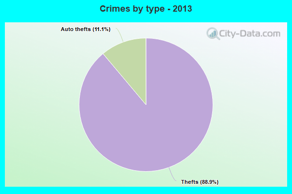 Crimes by type - 2013