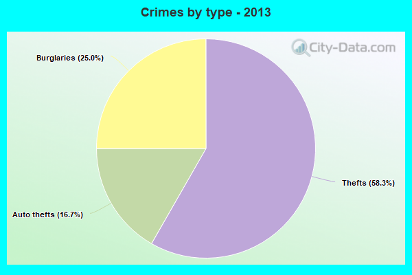 Crimes by type - 2013