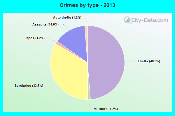 Crimes by type - 2013