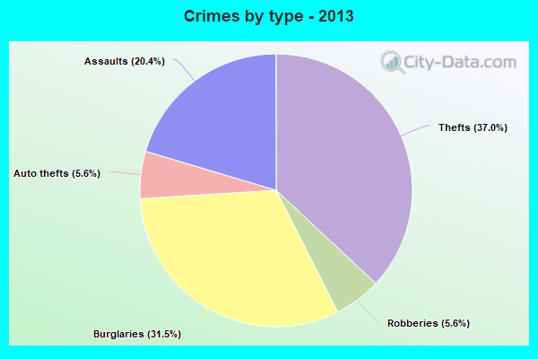 Crimes by type - 2013