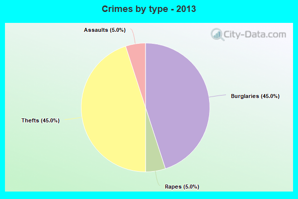 Crimes by type - 2013