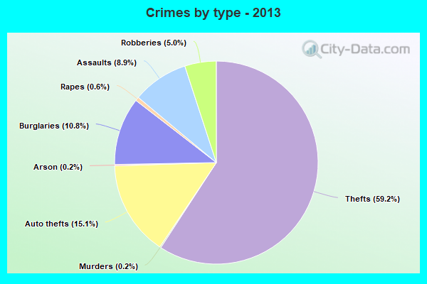 Crimes by type - 2013