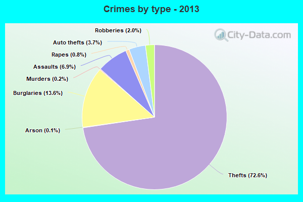 Crimes by type - 2013