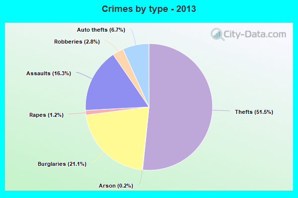 Crimes by type - 2013