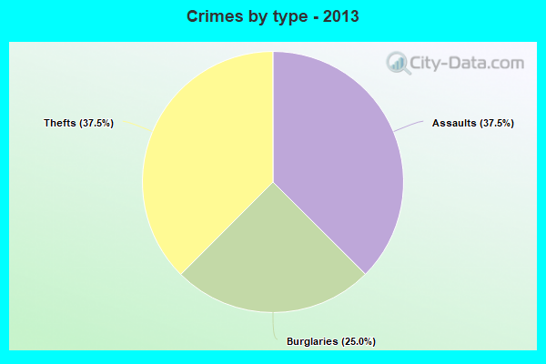 Crimes by type - 2013