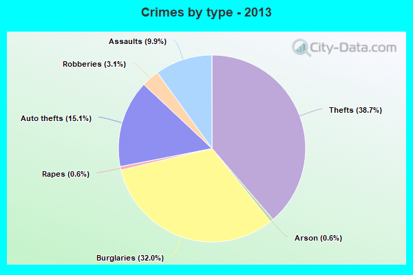 Crimes by type - 2013