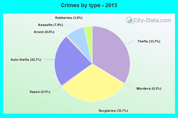 Crimes by type - 2013