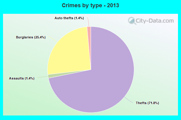 Crimes by type - 2013