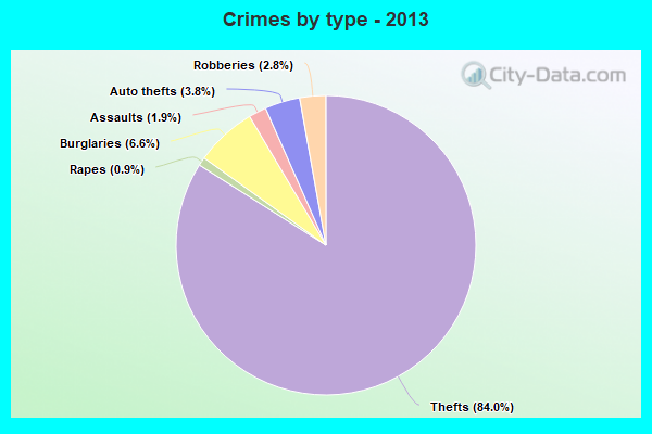 Crimes by type - 2013