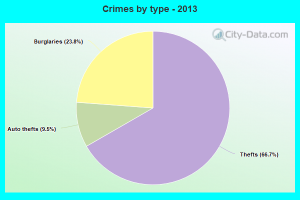 Crimes by type - 2013