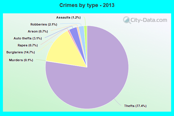 Crimes by type - 2013