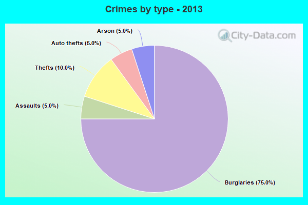 Crimes by type - 2013