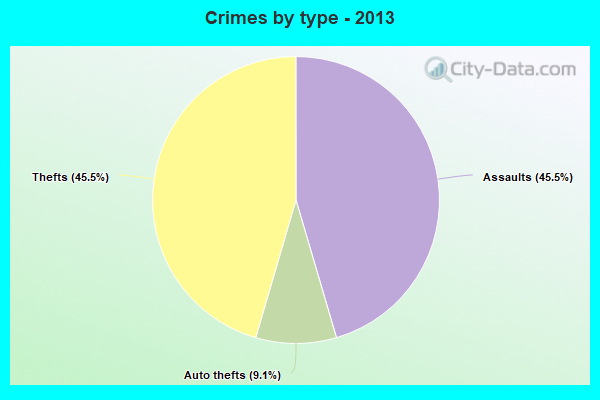 Crimes by type - 2013