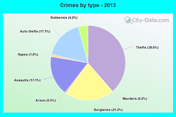 Crimes by type - 2013