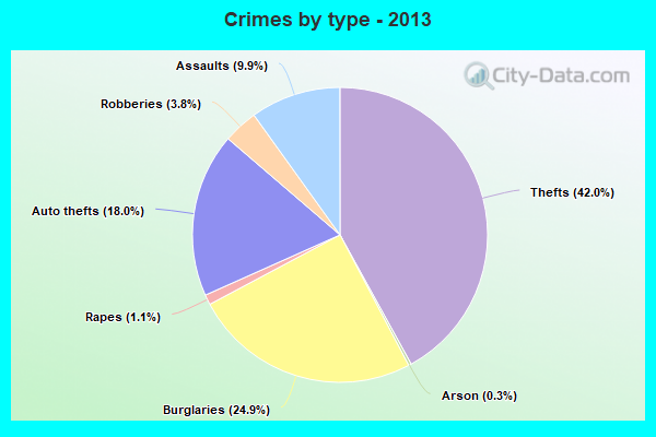 Crimes by type - 2013