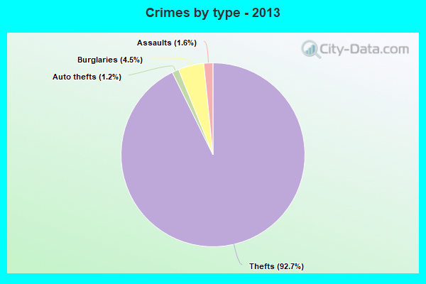 Crimes by type - 2013