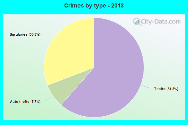 Crimes by type - 2013