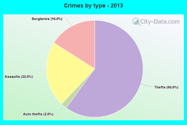 Crimes by type - 2013