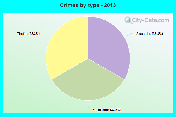 Crimes by type - 2013