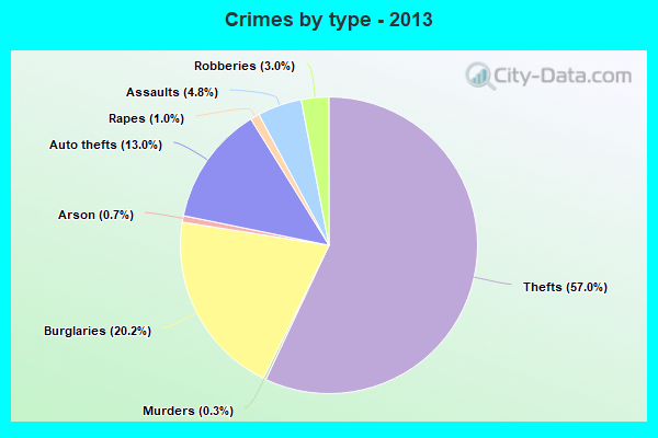 Crimes by type - 2013