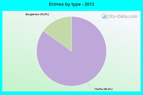 Crimes by type - 2013