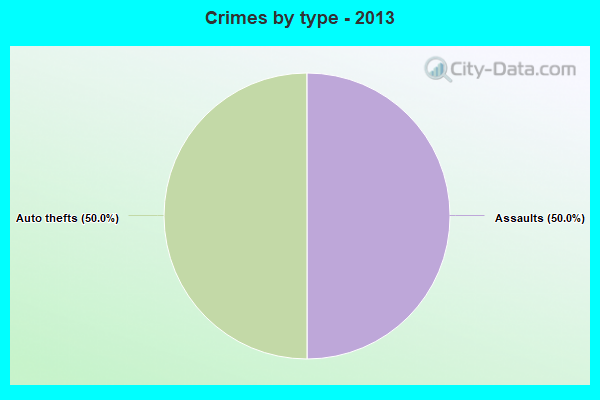 Crimes by type - 2013