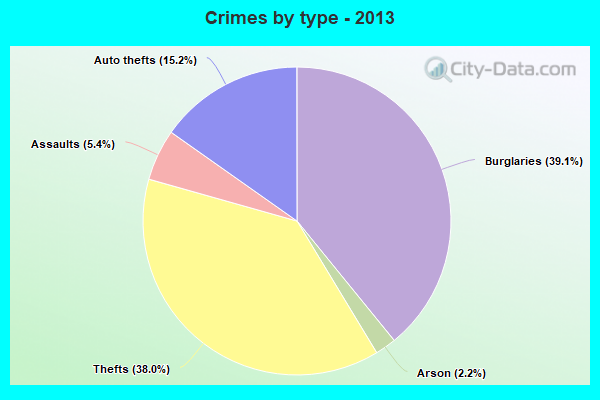 Crimes by type - 2013