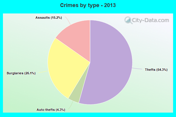 Crimes by type - 2013