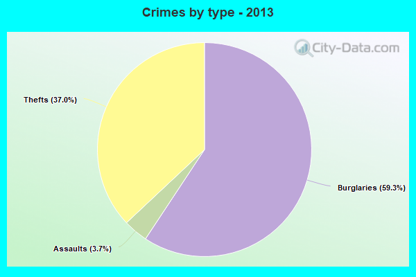 Crimes by type - 2013