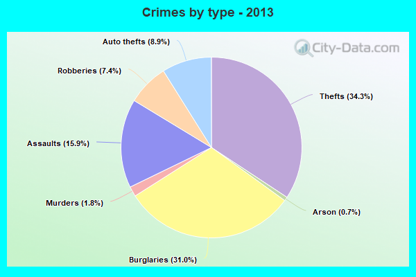 Crimes by type - 2013