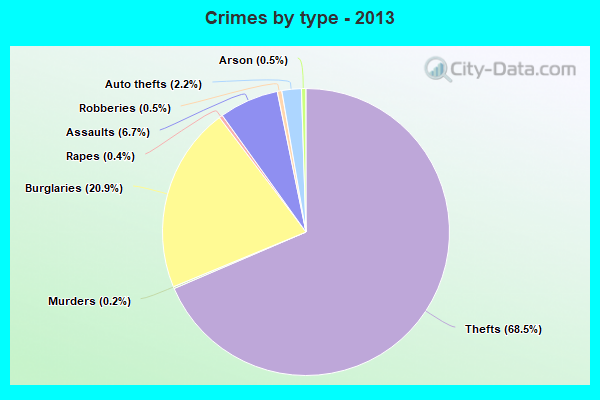 Crimes by type - 2013