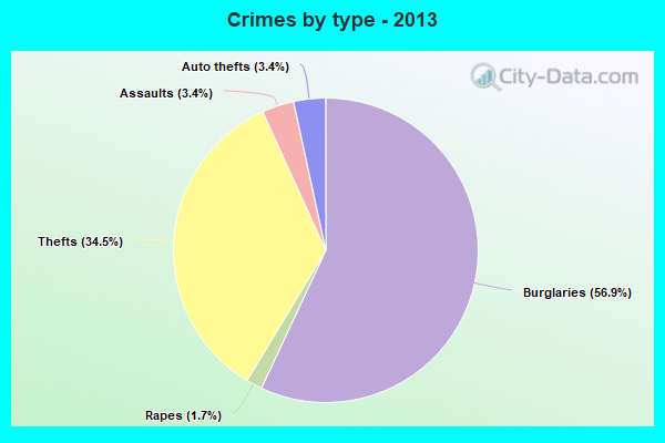 Crimes by type - 2013