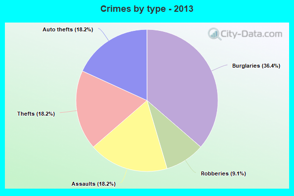 Crimes by type - 2013