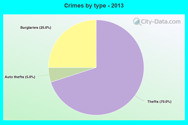 Crimes by type - 2013