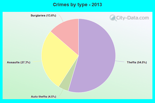 Crimes by type - 2013