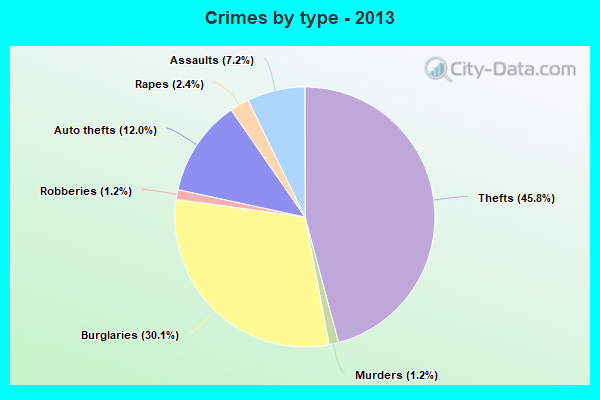 Crimes by type - 2013