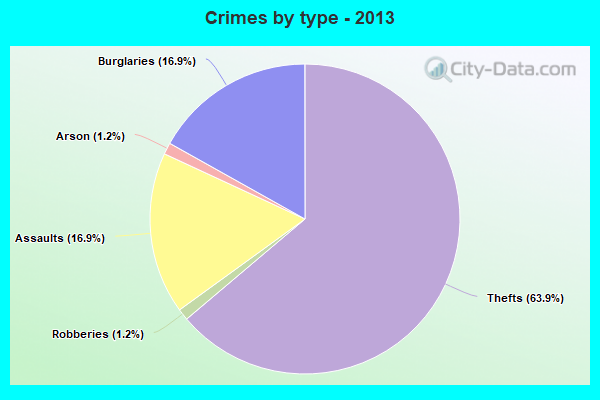 Crimes by type - 2013