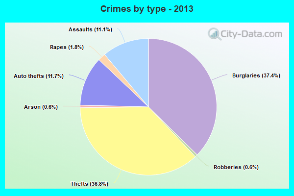 Crimes by type - 2013