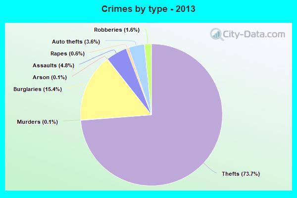 Crimes by type - 2013