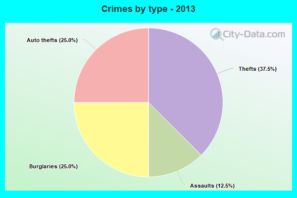 Crimes by type - 2013