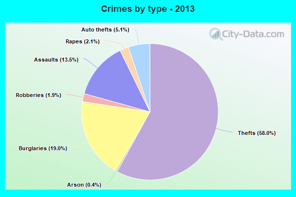 Crimes by type - 2013