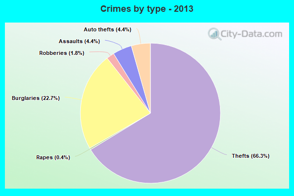 Crimes by type - 2013