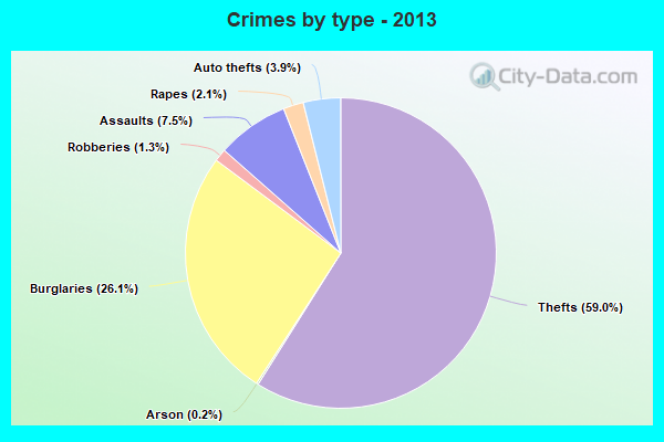 Crimes by type - 2013