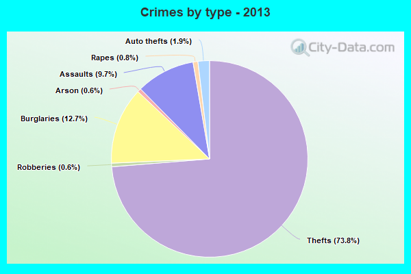 Crimes by type - 2013