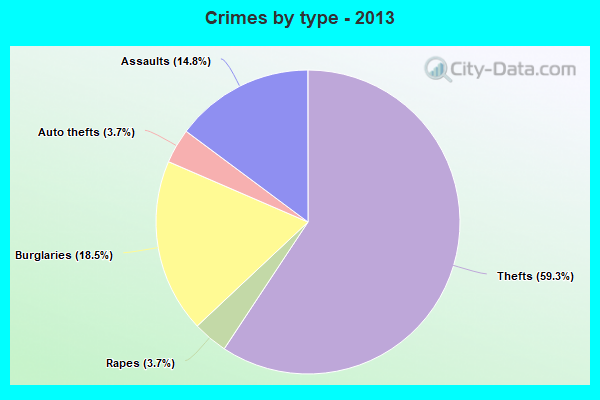 Crimes by type - 2013