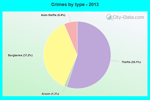 Crimes by type - 2013