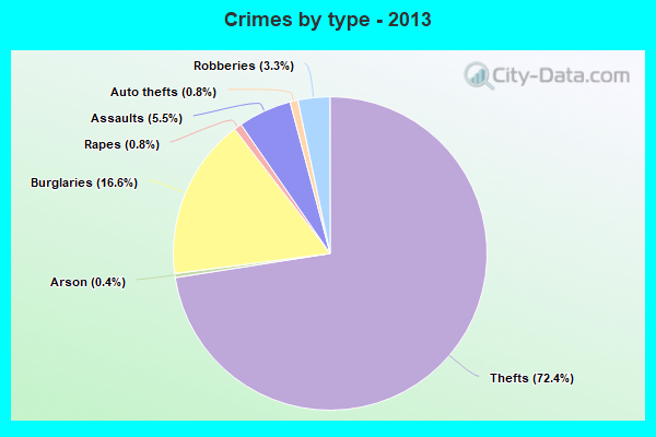 Crimes by type - 2013